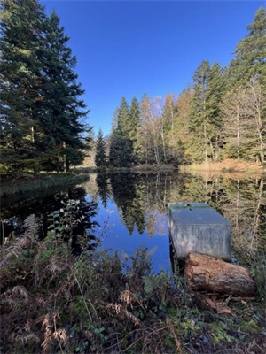 etang à la vente -   70310  FAUCOGNEY LA MER, surface 9200 m2 vente etang - UBI476342693